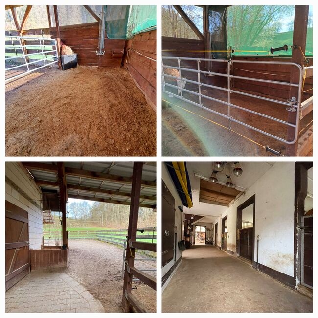 Offenstallplatz frei, Kerstin Hopfengärtner-Kellner , Horse Stables, Hiltpoltstein, Image 5