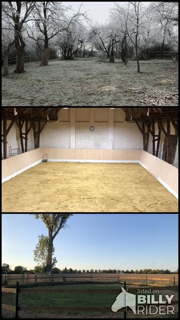 Offenstall Platz frei, Melissa , Horse Stables, Leipzig, Image 4