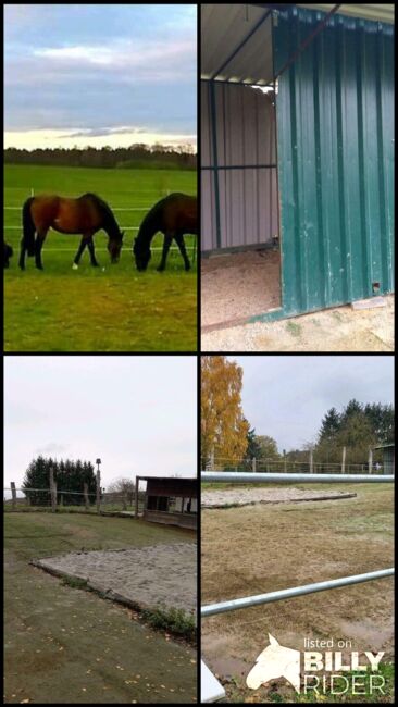 Offenstall 2 Plätze frei in Grünberg Weitershain, Franzi, Horse Stables, Ebsdorfergrund, Image 8