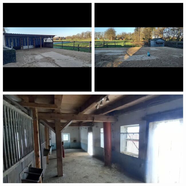 Offenstall bietet Platz, Beate Postel , Horse Stables, Hemmoor, Image 5