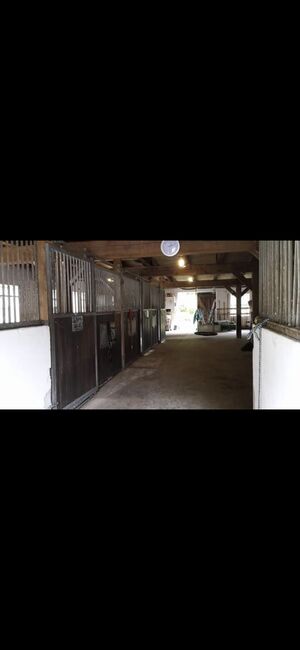 Offenstall bietet Platz, Beate Postel , Horse Stables, Hemmoor, Image 16