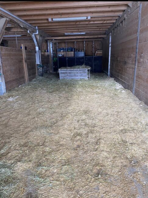 Offenstall für Selbstversorger, Dani, Horse Stables, Wackersberg