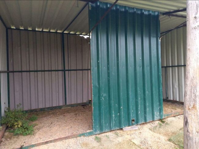 Offenstall zu vermieten Selbstversorger in Reitanlage, Franzi, Horse Stables, Ebsdorfergrund, Image 5