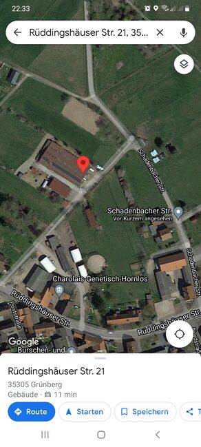 Offenstall zu vermieten Selbstversorger in Reitanlage, Franzi, Horse Stables, Ebsdorfergrund, Image 2