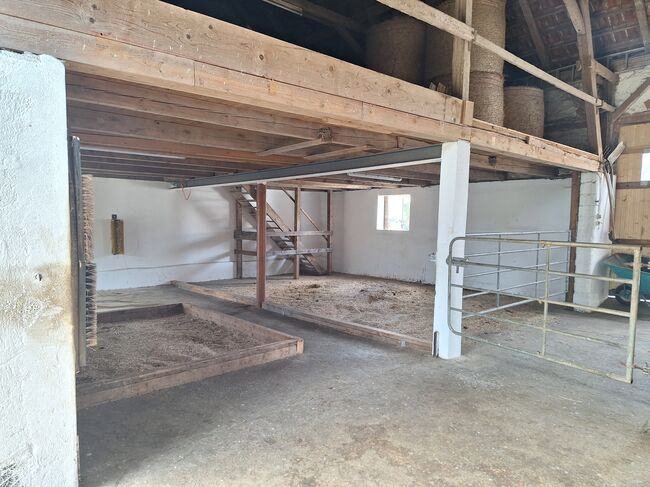 Offenstall hat einen Platz frei, Johanna , Horse Stables, Eching, Image 8