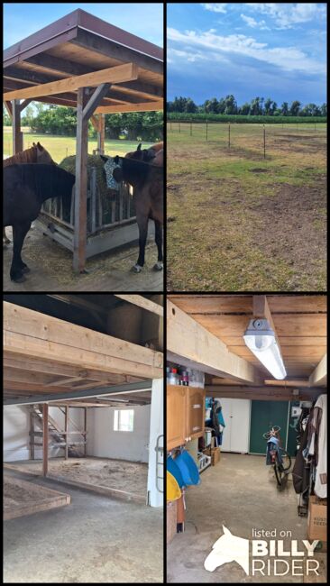 Offenstall hat einen Platz frei, Johanna , Horse Stables, Eching, Image 12