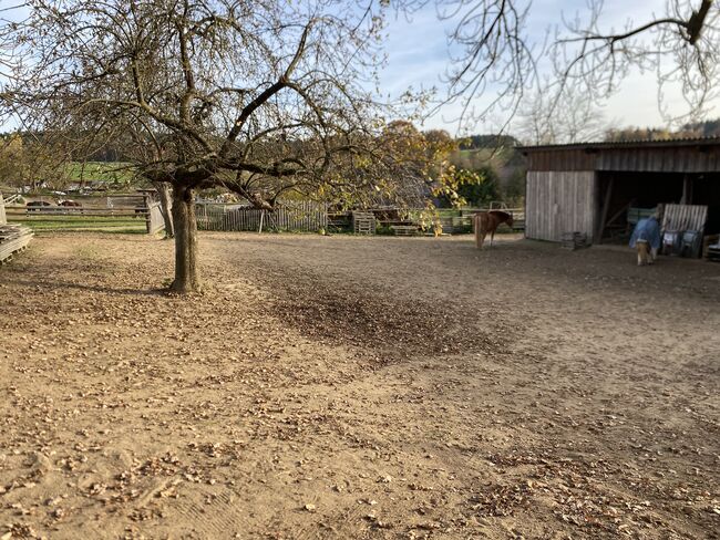 Offenstall, Elena Legl-Perzi, Horse Stables, Groß-Taxen, Image 3