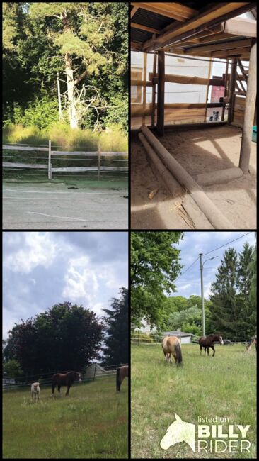 Offenstall/Bewegungsstall, Offenstall  Offenstall , Bender Pia , Horse Stables, Carlsberg , Image 9