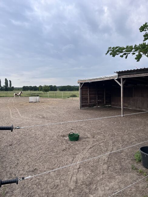 Offenstallplatz für Stute/Wallach, Anna Maria Pludra, Horse Stables, Wustermark