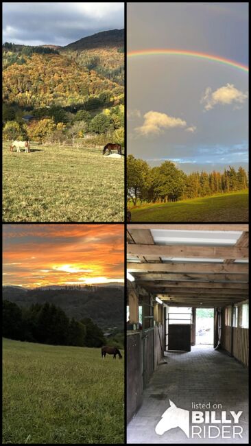 Offenstallplatz ab November, Claudia Gerards, Horse Stables, Hallenberg, Image 5