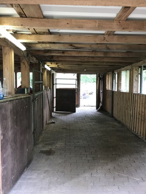 Offenstallplatz ab November, Claudia Gerards, Horse Stables, Hallenberg, Image 4