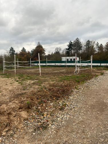 Offenstallplatz in kleinem Privatstall, geeignet für Ekzemer und Allergiker, Paddockboxen, Offenstall, Lena Lachner, Horse Stables, Haßloch, Image 6