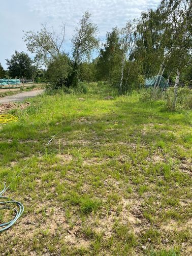 Offenstallplatz in kleinem Privatstall, geeignet für Ekzemer und Allergiker, Paddockboxen, Offenstall, Lena Lachner, Horse Stables, Haßloch, Image 7