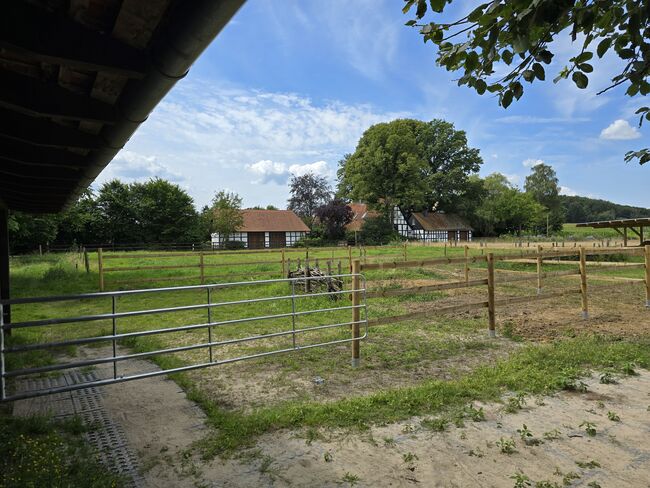 Offenstall Platz Stute oder Wallach, Open Ranch , Marina Schmidt , Horse Stables, Bissendorf , Image 3