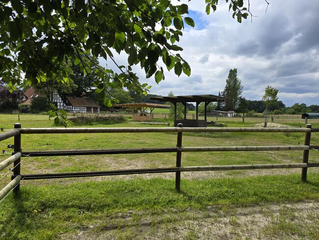 Offenstall Platz Stute oder Wallach, Open Ranch , Marina Schmidt , Horse Stables, Bissendorf , Image 6