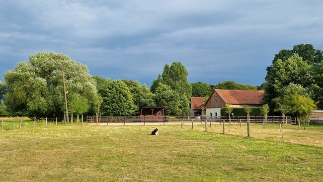 Offenstall Platz Stute oder Wallach, Open Ranch , Marina Schmidt , Horse Stables, Bissendorf 