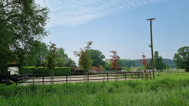 Offenstall Platz Stute oder Wallach, Open Ranch , Marina Schmidt , Horse Stables, Bissendorf , Image 12