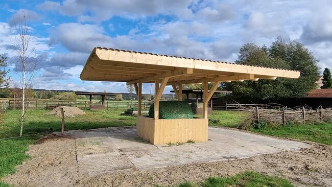 Offenstall Platz Stute oder Wallach, Open Ranch , Marina Schmidt , Horse Stables, Bissendorf , Image 14