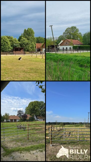 Offenstall Platz Stute oder Wallach, Open Ranch , Marina Schmidt , Horse Stables, Bissendorf , Image 20