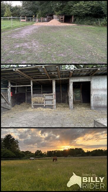 Offenstallplatz frei für 1-2 Wallache, Hannah, Horse Stables, Ahrensburg, Image 4