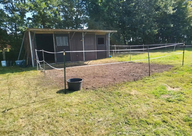 Offenstallplatz frei zum 01.07.2025, Leonie , Horse Stables, Prinzenmoor, Image 2