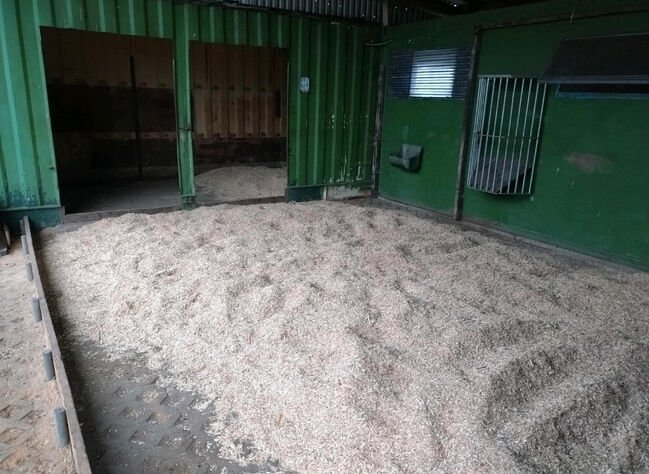 Offenstallplatz frei zum 01.07.2025, Leonie , Horse Stables, Prinzenmoor