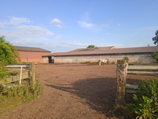Offenstallplätze Frei, Yvonne Sanders, Horse Stables, Volkmarsen, Image 2
