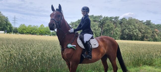 Biete Reitunterricht / Beritt, Hanna Kreuzeberg, Pozostałe, Emsdetten