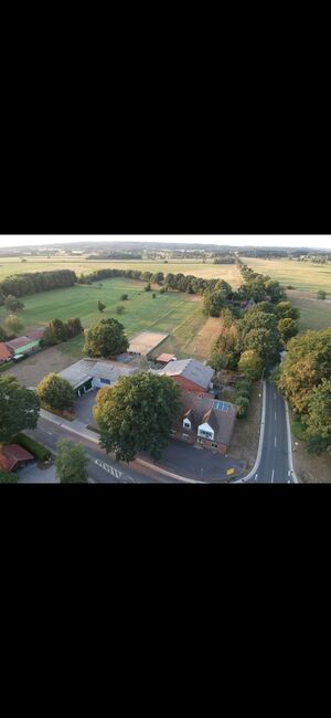 Offenstall bietet Platz, Beate Postel , Stallplätze, Hemmoor, Abbildung 10