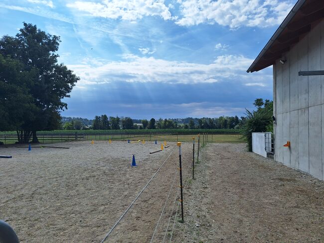Offenstall hat einen Platz frei, Johanna , Stallplätze, Eching, Abbildung 6