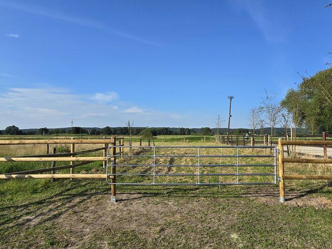 Offenstall Platz Stute oder Wallach, Open Ranch , Marina Schmidt , Stallplätze, Bissendorf , Abbildung 4