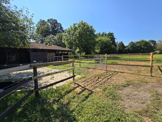 Offenstall Platz Stute oder Wallach, Open Ranch , Marina Schmidt , Stallplätze, Bissendorf , Abbildung 10