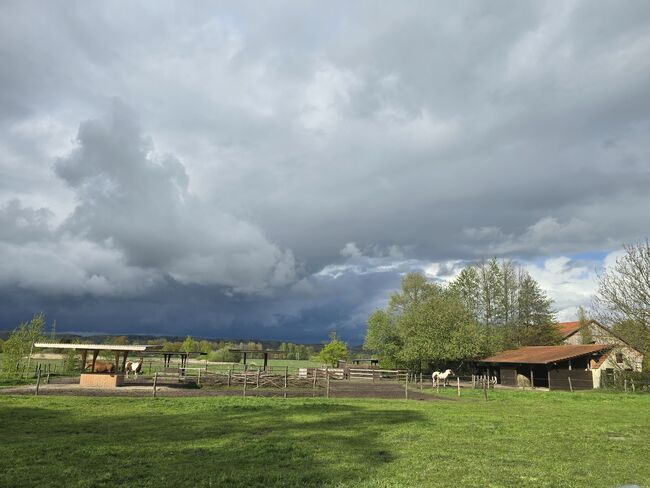 Offenstall Platz Stute oder Wallach, Open Ranch , Marina Schmidt , Stallplätze, Bissendorf , Abbildung 18