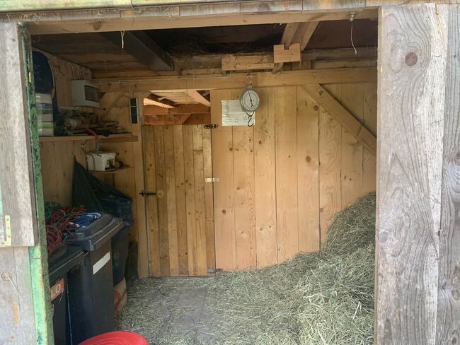 Offenstall zu verkaufen, Mia Nele Weiß, Pferdeimmobilien, Leutkirch , Abbildung 7