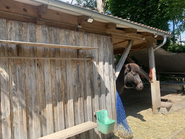 Offenstall zu verkaufen, Mia Nele Weiß, Pferdeimmobilien, Leutkirch , Abbildung 6