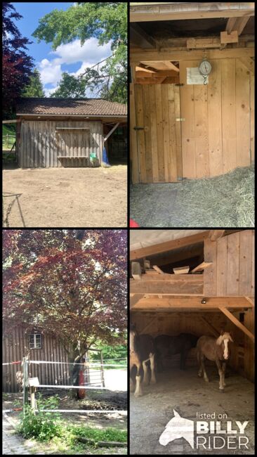 Offenstall zu verkaufen, Mia Nele Weiß, Pferdeimmobilien, Leutkirch , Abbildung 9