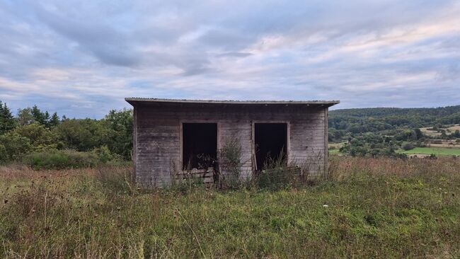 Offenstall, Weidehütte,, Lara, Stallplätze, Lollar