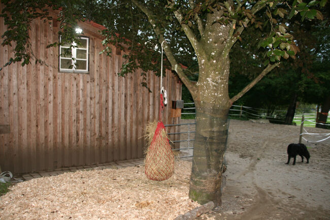 Offenstall zu verkaufen, Mia Nele Weiß, Equestrian Properties, Leutkirch , Image 6