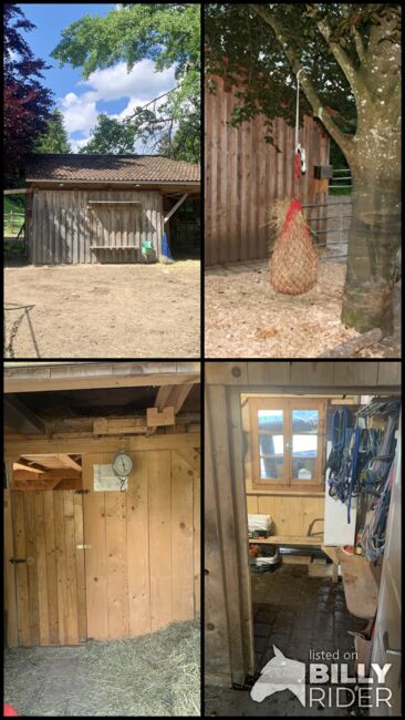 Offenstall zu verkaufen, Mia Nele Weiß, Equestrian Properties, Leutkirch , Image 9