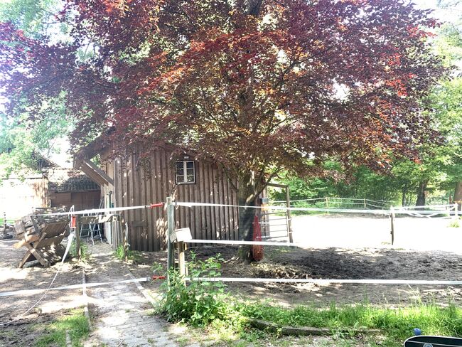Offenstall zu verkaufen, Mia Nele Weiß, Equestrian Properties, Leutkirch , Image 2