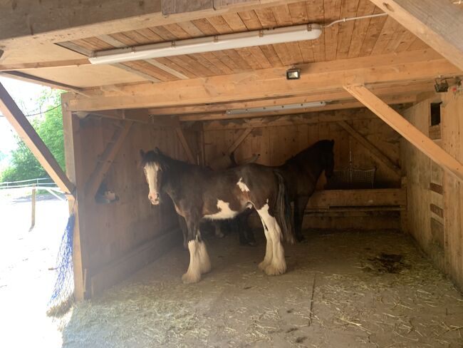 Offenstall zu verkaufen, Mia Nele Weiß, Equestrian Properties, Leutkirch , Image 4