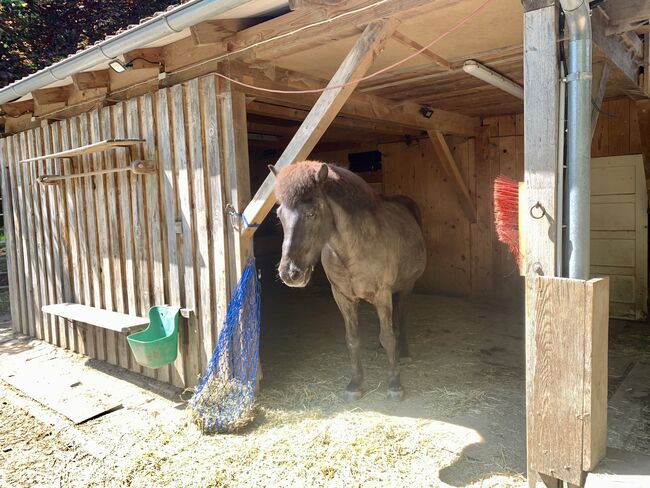 Offenstall zu verkaufen, Mia Nele Weiß, Equestrian Properties, Leutkirch , Image 5