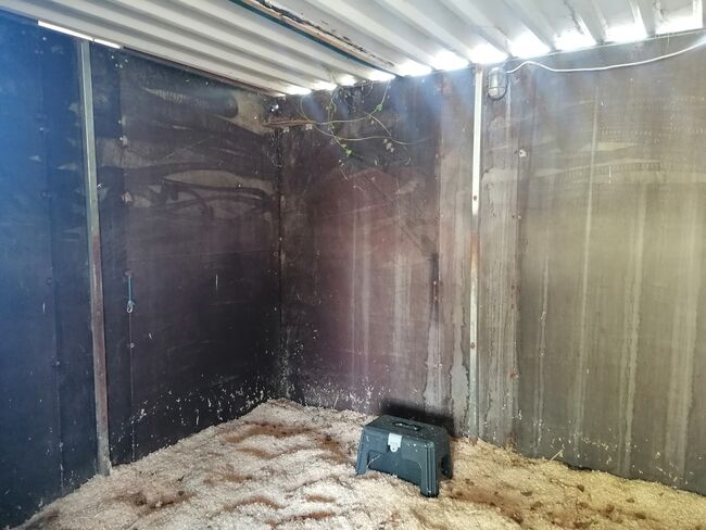 Offenstallplatz mit Paddock Trail in kleiner Herde, Teresa Kumpe, Stallplätze, Frankfurt (Oder), Abbildung 9