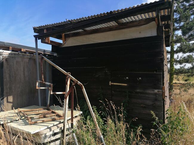 Offenstallplatz mit Paddock Trail in kleiner Herde, Teresa Kumpe, Stallplätze, Frankfurt (Oder), Abbildung 4