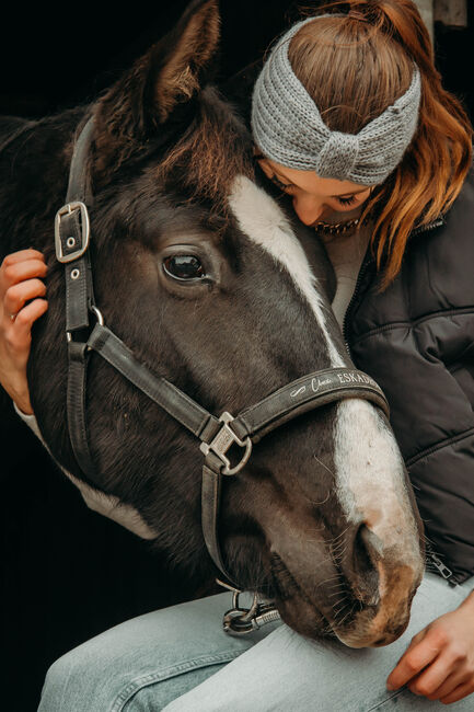 Biete Pferdefotografie, Emely , Horse photography, Billerbeck, Image 14