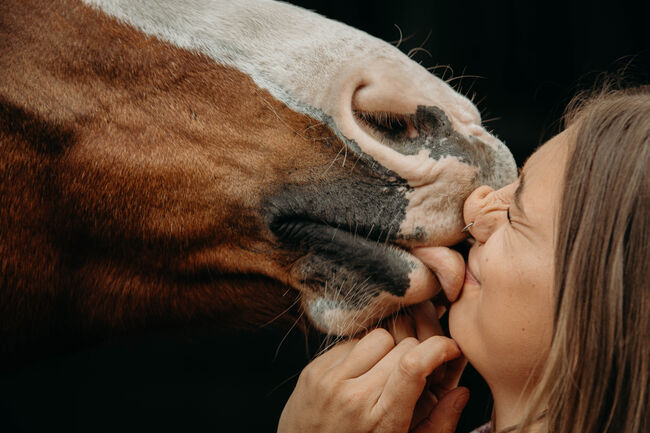 Biete Pferdefotografie, Emely , Horse photography, Billerbeck, Image 4