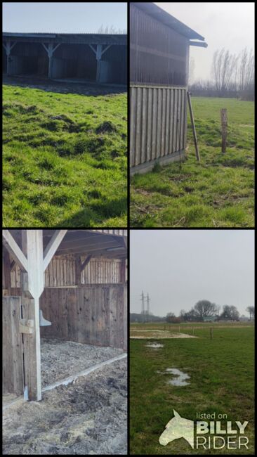 Biete Offenstallplatz für Kur und Dauerplatz an der Nordsee an, Geraldine , Horse Stables, Tating , Image 5