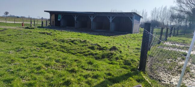 Biete Offenstallplatz für Kur und Dauerplatz an der Nordsee an, Geraldine , Horse Stables, Tating 