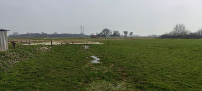 Biete Offenstallplatz für Kur und Dauerplatz an der Nordsee an, Geraldine , Horse Stables, Tating , Image 2