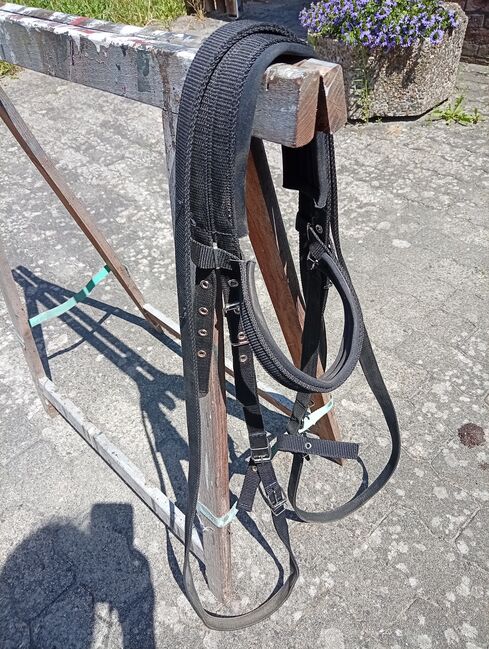 Trense Nylongurt WB, TaBe, Ogłowia, Lehrte